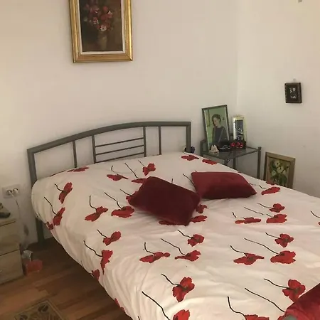 Cozy Central Apartment, Very Close To Everything!Perfect For Untold And Electric Castle Festivals! Cluj-Napoca
